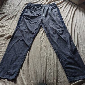 Gray and Blue Jogger